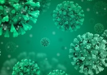 Эксперты дали советы: как усилить иммунитет против коронавируса