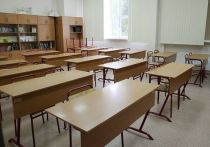 В московских школах все больше классов вновь отправляется на дистанционное обучения после выявления у кого-то из учеников коронавируса