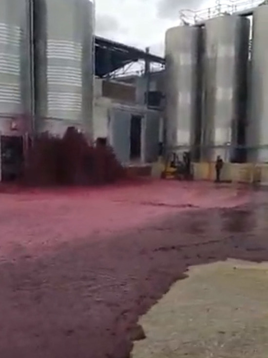 В Испании 50 тыс. литров красного вина затопили завод