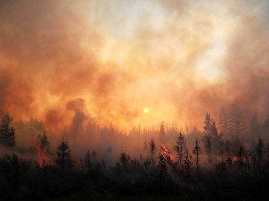 В трех района Колымы горит лес на общей площади в 630 гектаров