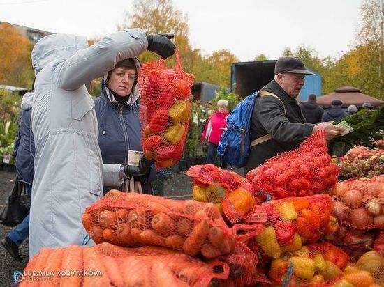 Осеннюю ярмарку в Петрозаводске перенесут на Древлянку