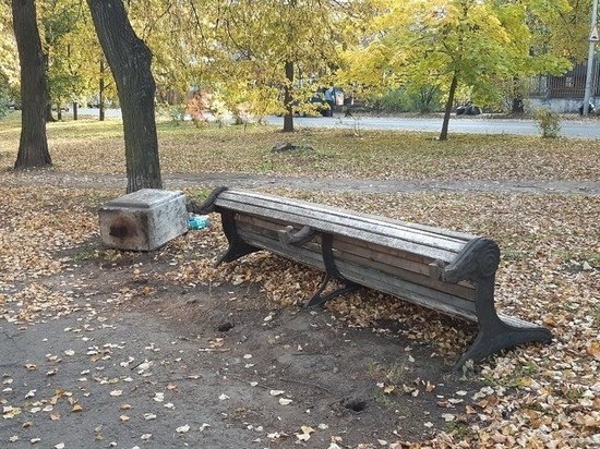  Вандалы вновь «похозяйничали» в парке Петрозаводска