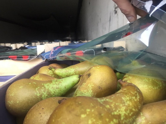 Три белорусских грузовика с грушами задержали на Смоленской таможне