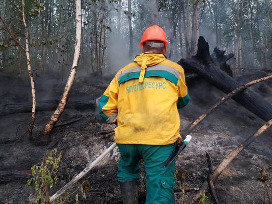 Власти Якутии заявили о локализации двух лесных пожаров