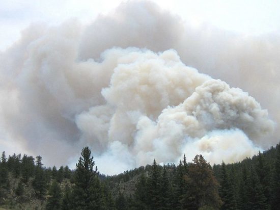 Прокуроры побеседуют с колымчанами, обеспокоенными лесными пожарами