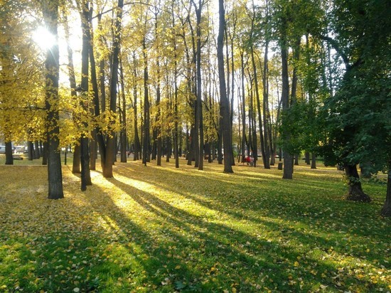 Рабочая неделя в Перми будет теплой