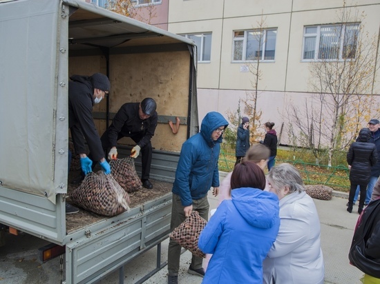 В Салехарде многодетным семьям раздали 1,5 тонны картошки
