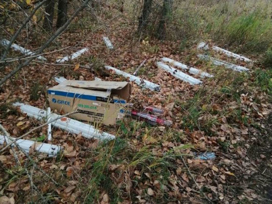 Опасную для экологии и человека свалку обнаружили возле кузбасской трассы