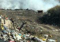 По словам отдыхающих, скопления мусора обнаружили в районе села Акташ