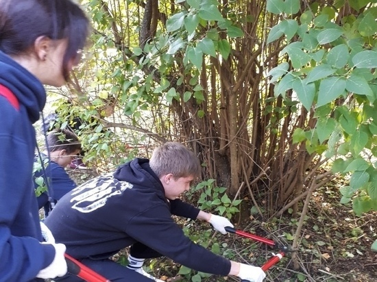 Интересная экологическая акция проходит в Петрозаводске
