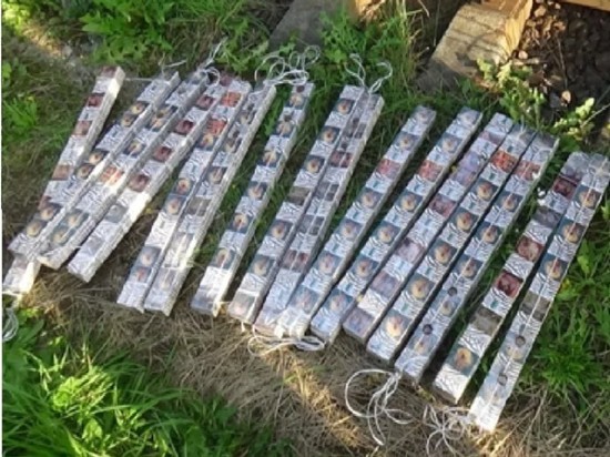 Более 12 тысяч пачек контрабандных сигарет изъяли псковские пограничники