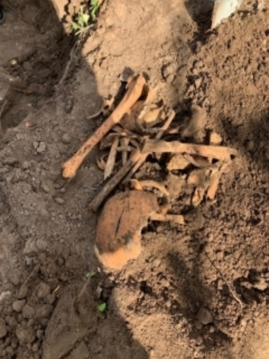 Сразу два хозяина в Абакане за один день нашли на своих участках останки людей