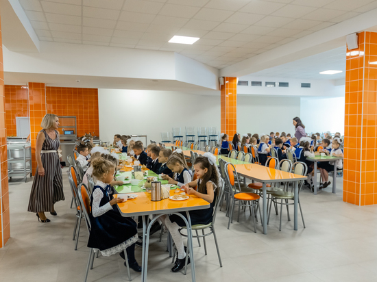 Школы Рязанской области не станут закрывать на двухнедельные каникулы