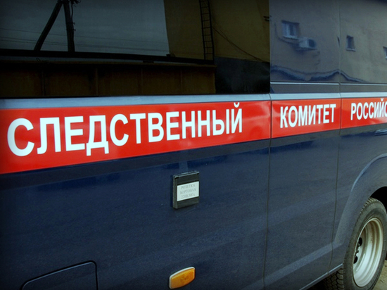 Следователи рассказали подробности убийства жены главврача под Новосибирском