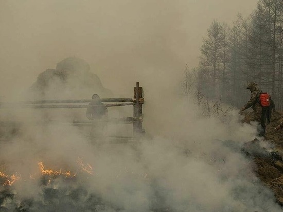 Власти Якутии окажут поддержку фермерам, пострадавшим от лесных пожаров