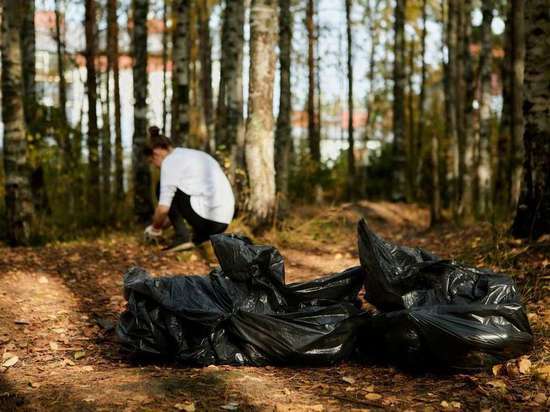  Плоггинг-забег состоялся в столице Карелии в парке «Патриот»
