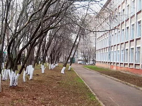 Ученики кировской школы №59 временно переведены на "дистанционку"