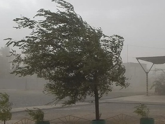 В Калмыкии несколько дней подряд будет дуть ураганный ветер