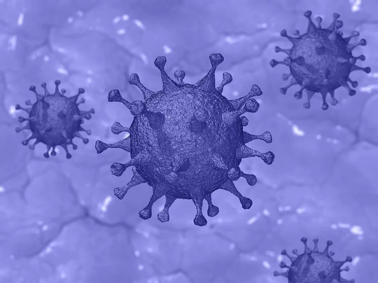 На Колыме за сутки выявили еще 29 носителей коронавируса