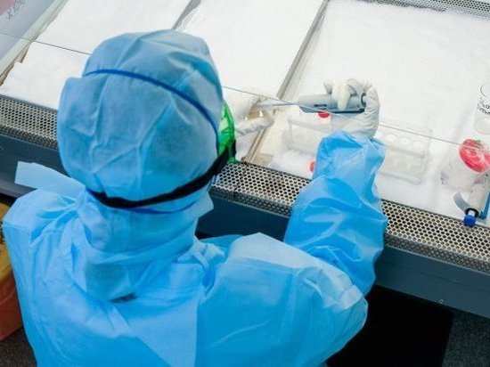 В Волгограде выполнено более 500 тысяч тестов на коронавирус