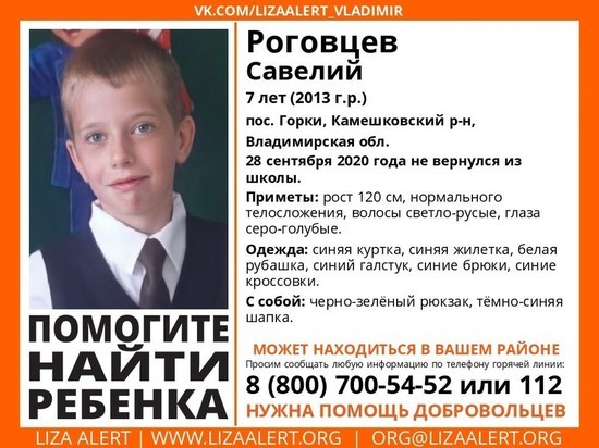 Во Владимирской области по факту безвестного исчезновения 7-летнего мальчика возбуждено уголовное дело