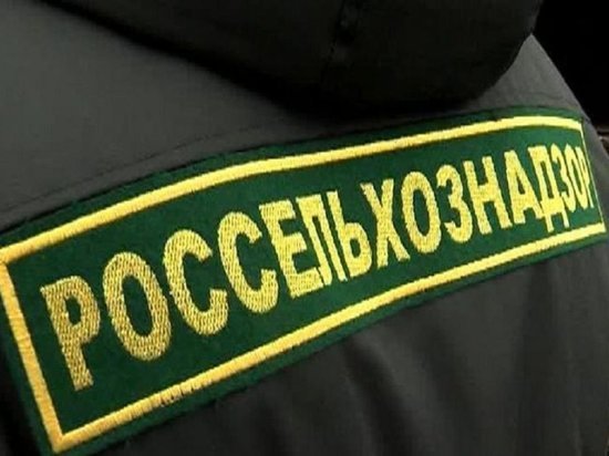 В Ярославле в жилом доме за два дня произвели 40 тонн молока и по 2 тонны масла и сыра