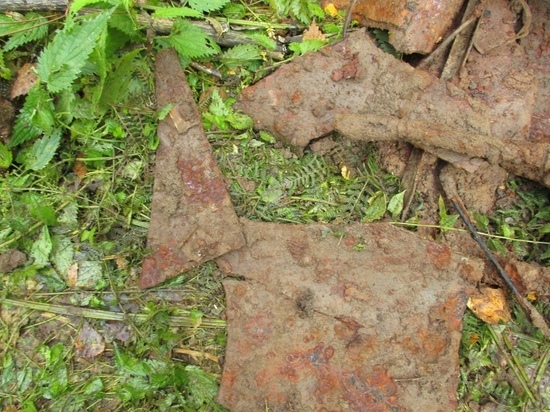Поисковики из Тверской области нашли место падения самолёта времён Великой Отечественной войны