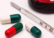 О новых штаммах гриппа, которые будут циркулировать в республике в этом сезоне, заявили в санитарно-эпидемиологической службе Министерства здравоохранения ДНР