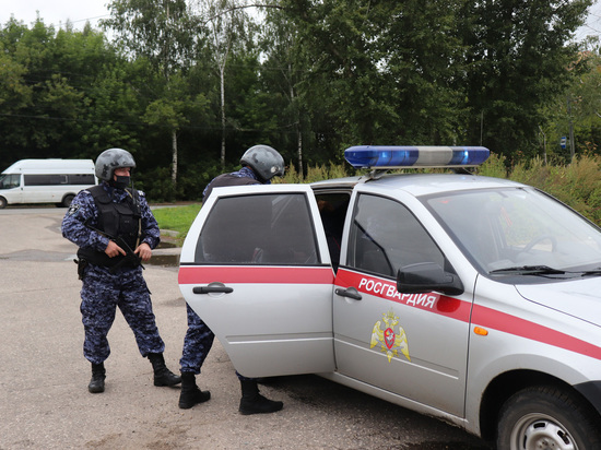 Росгвардейцы задержали в Йошкар-Оле подозреваемого в убийстве