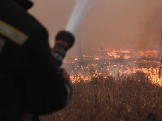 Воронежский лесной пожар перекинулся на жилые дома