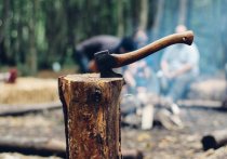 В Забайкалье могут уменьшить норматив заготовки дров в горельниках