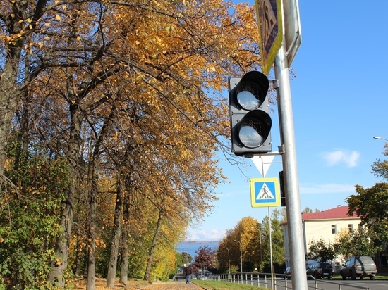 Безопасность детей: в Петрозаводске вблизи образовательных учреждений появятся новые светофоры