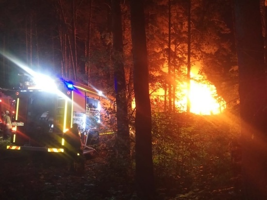 В Екатеринбурге в садовом товариществе произошел крупный пожар