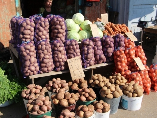 Картофельная страда в Костроме: по 18 за килограмм, по тысяче за день