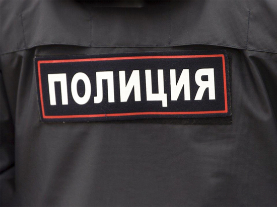 В Новосибирской области задержали подозреваемых в краже 250 тысяч и ружья