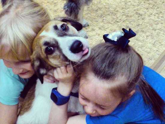 Собаки-терапевты учат хабаровских детей добру