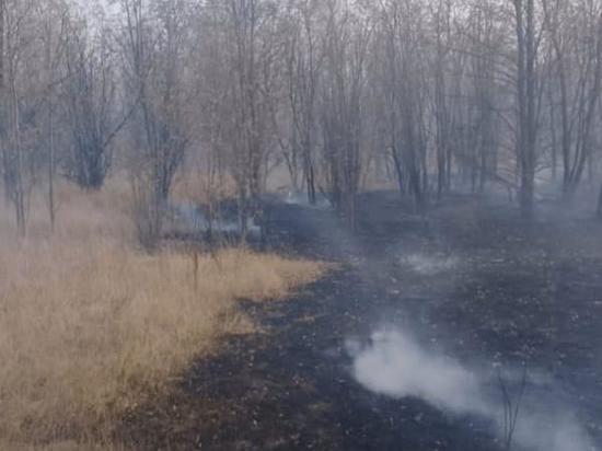 В Цимлянском районе лесной пожар распространился на площади 280 гектаров