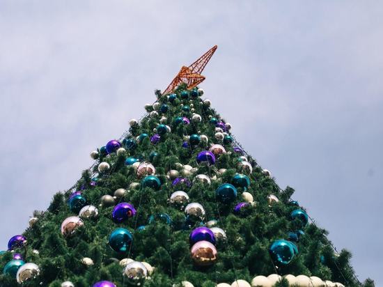 В городе под Волгоградом в сентябре установили новогоднюю елку