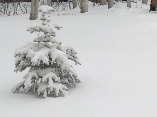 В администрации Смоленска уже готовятся к новогодним праздникам