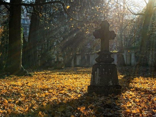 Вандалы осквернили могилы в Порховском районе