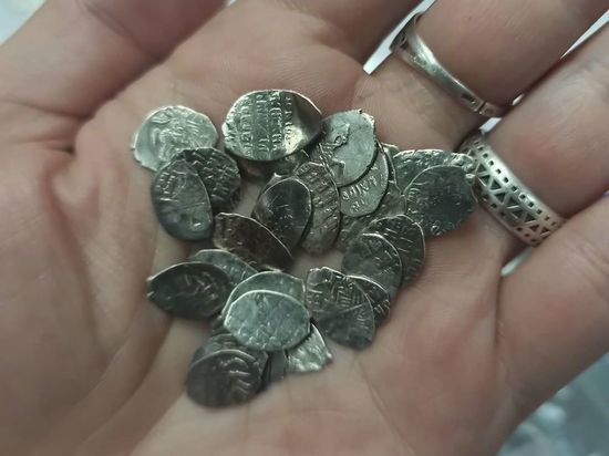 Псковские археологи установили датировку 90 старинных монет