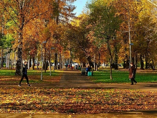 Кировчане "очно" обсудят проект благоустройства Гагаринского парка