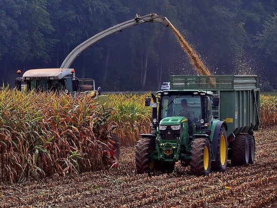В ДНР продолжается уборка поздних зерновых и сев озимых