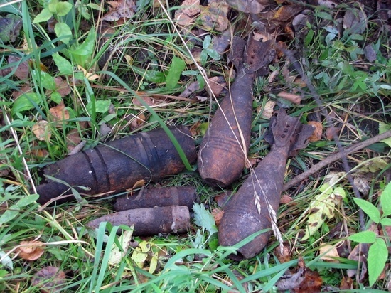 В Смоленской области опять найдены мины и снаряды времен Второй мировой