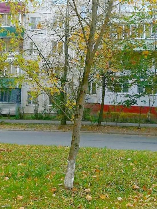 Новые парковки появятся у медицинских учреждений Серпухова