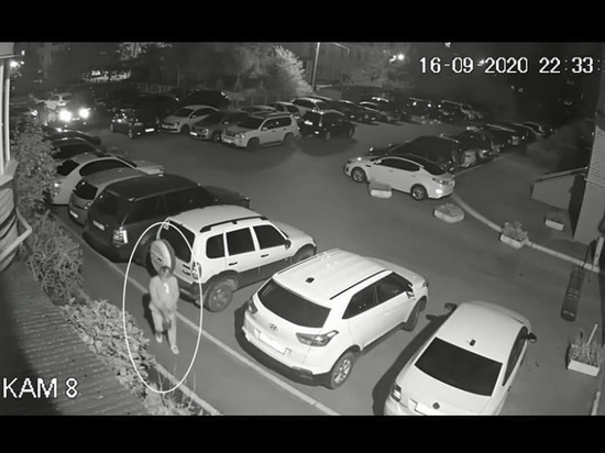 В Рязани женщина выдернула две молодые туи и скрылась