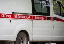 По сообщению оперативного штаба Новосибирской области на утро 3 октября в регионе лабораторно подтверждено 13 393 случая коронавирусной инфекции, в том числе у 802 детей