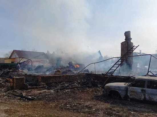 На пожаре в рязанской деревне погибли две пенсионерки