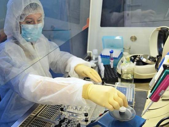 В Хакасии выявили почти 50 новых заразившихся коронавирусом за сутки