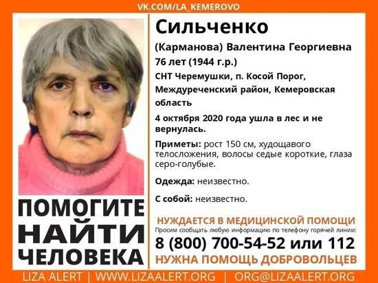 Пожилая женщина заблудилась в кузбасском лесу